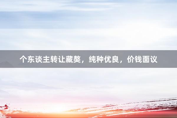 个东谈主转让藏獒，纯种优良，价钱面议